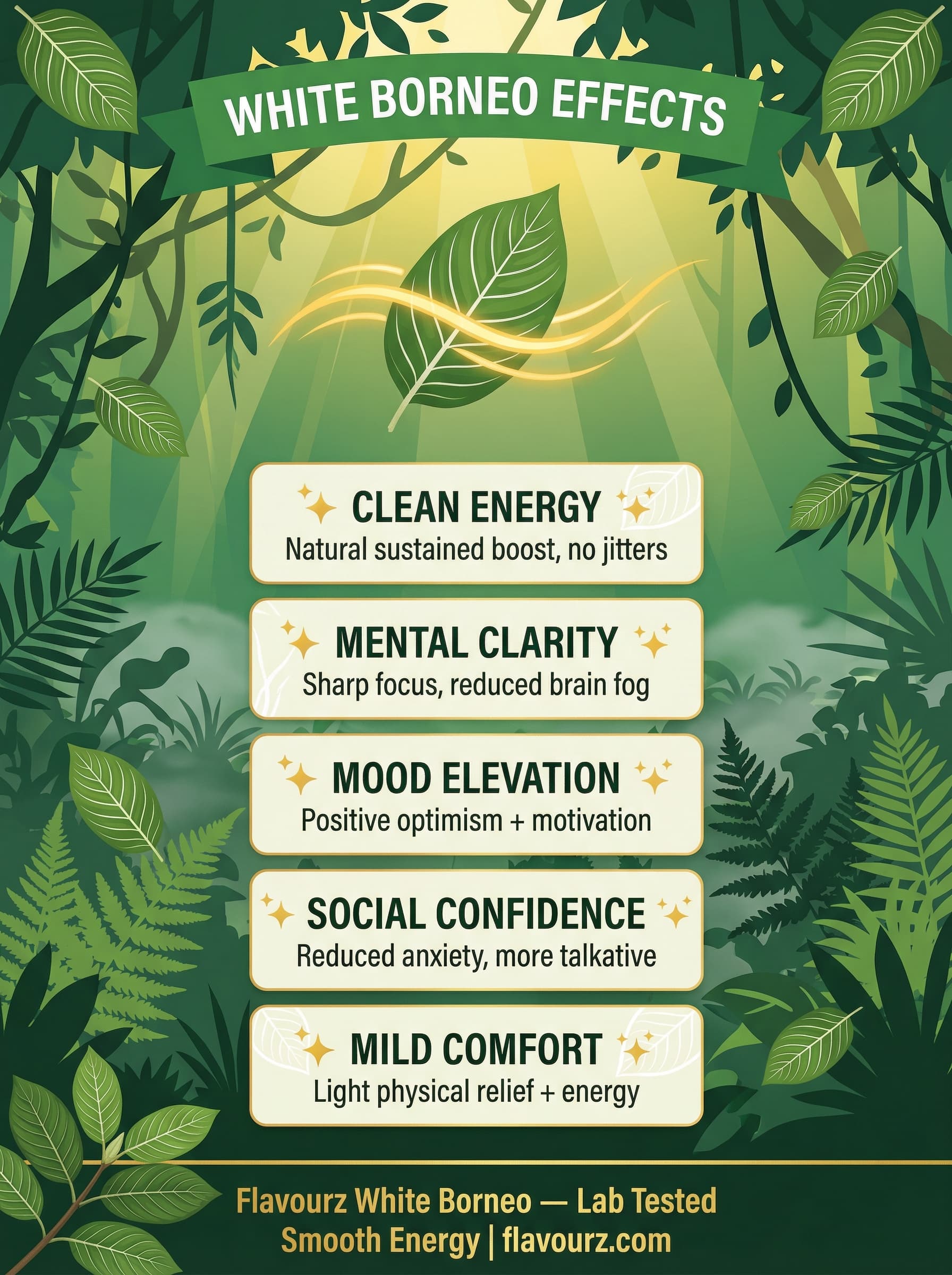 infographic for White Borneo Kratom Effects Profile